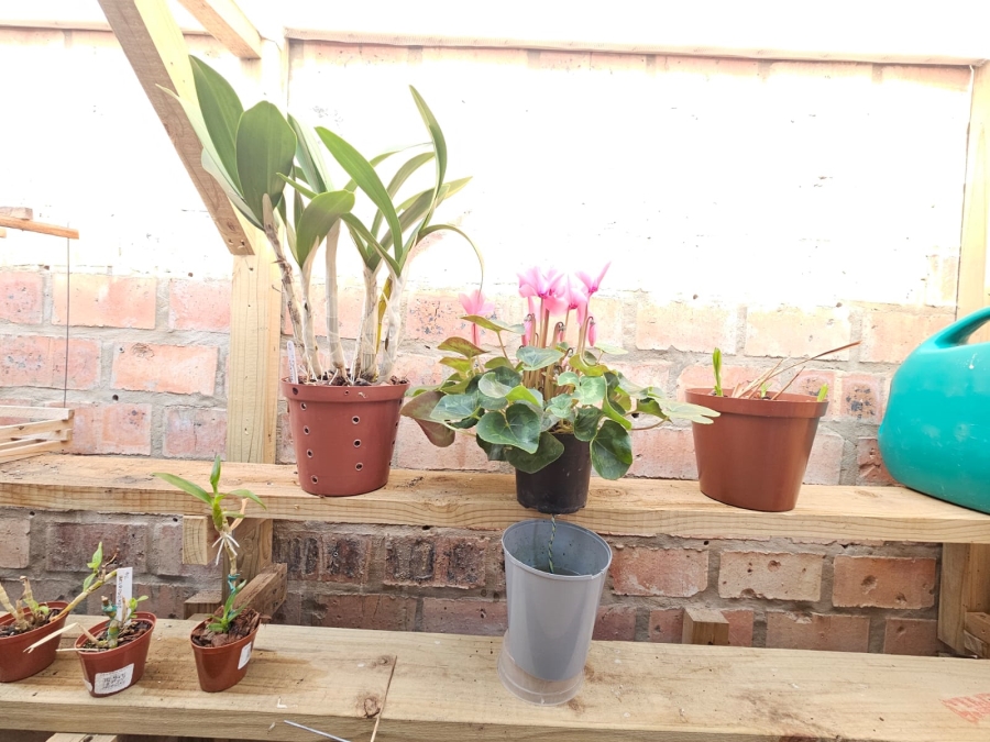 3 Bedroom Property for Sale in Stilbaai Wes Western Cape